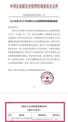 全國中小企業(yè)管理咨詢案例第一名解析 卓越管理與創(chuàng)新實踐